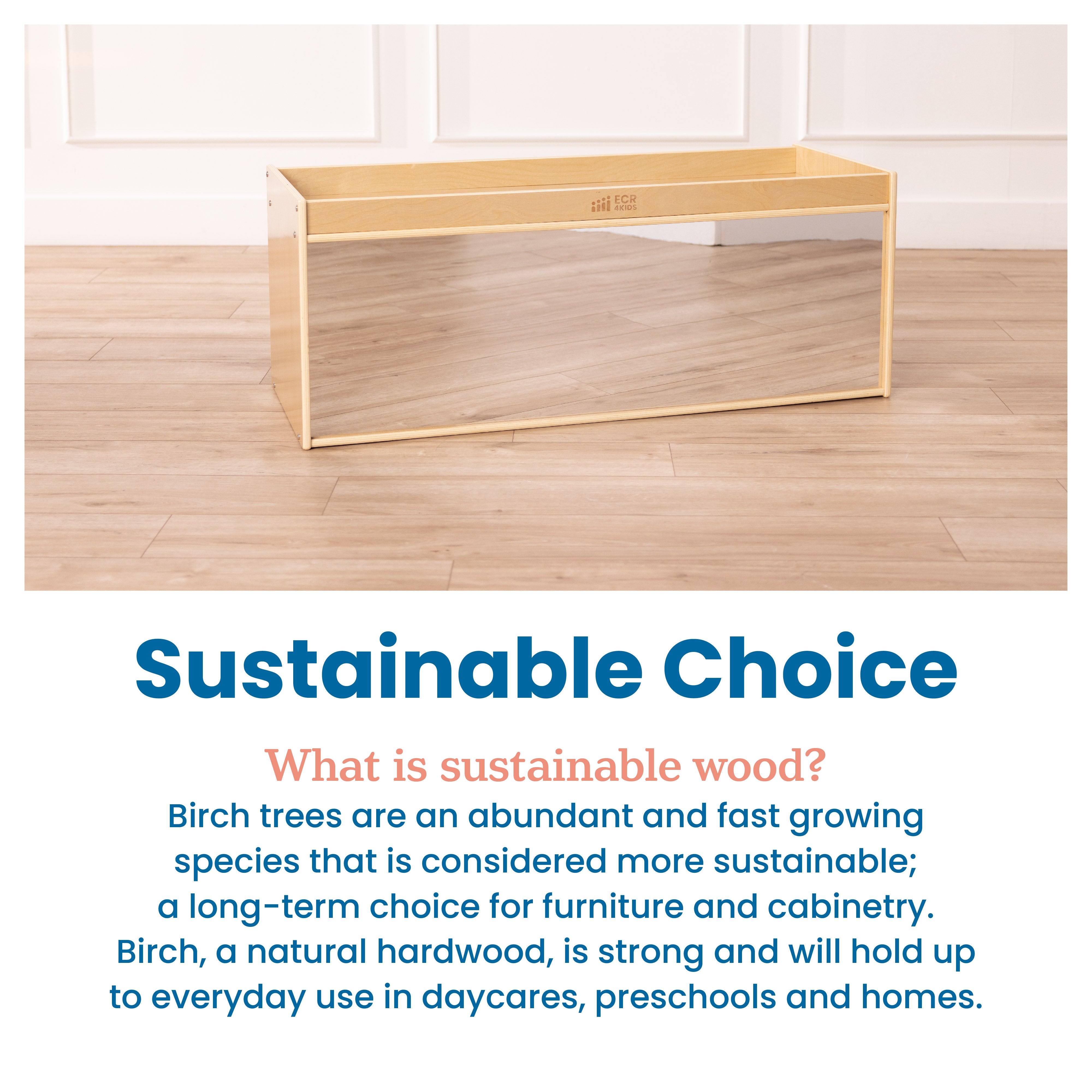 Storage Cabinet with Activity Top and Mirror