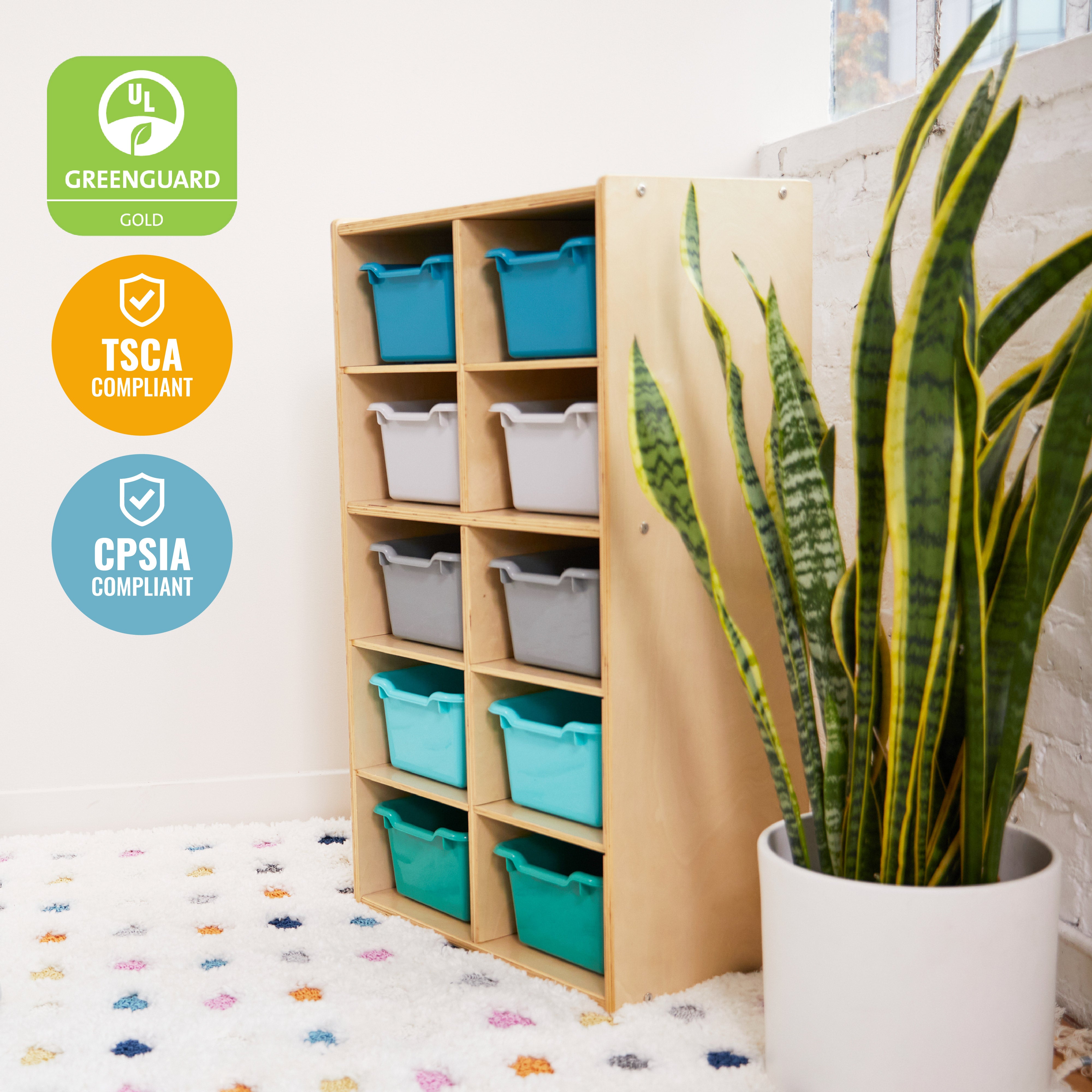 Streamline 10 Cubby Tray Cabinet and 10 Scoop Front Bins, 5x2