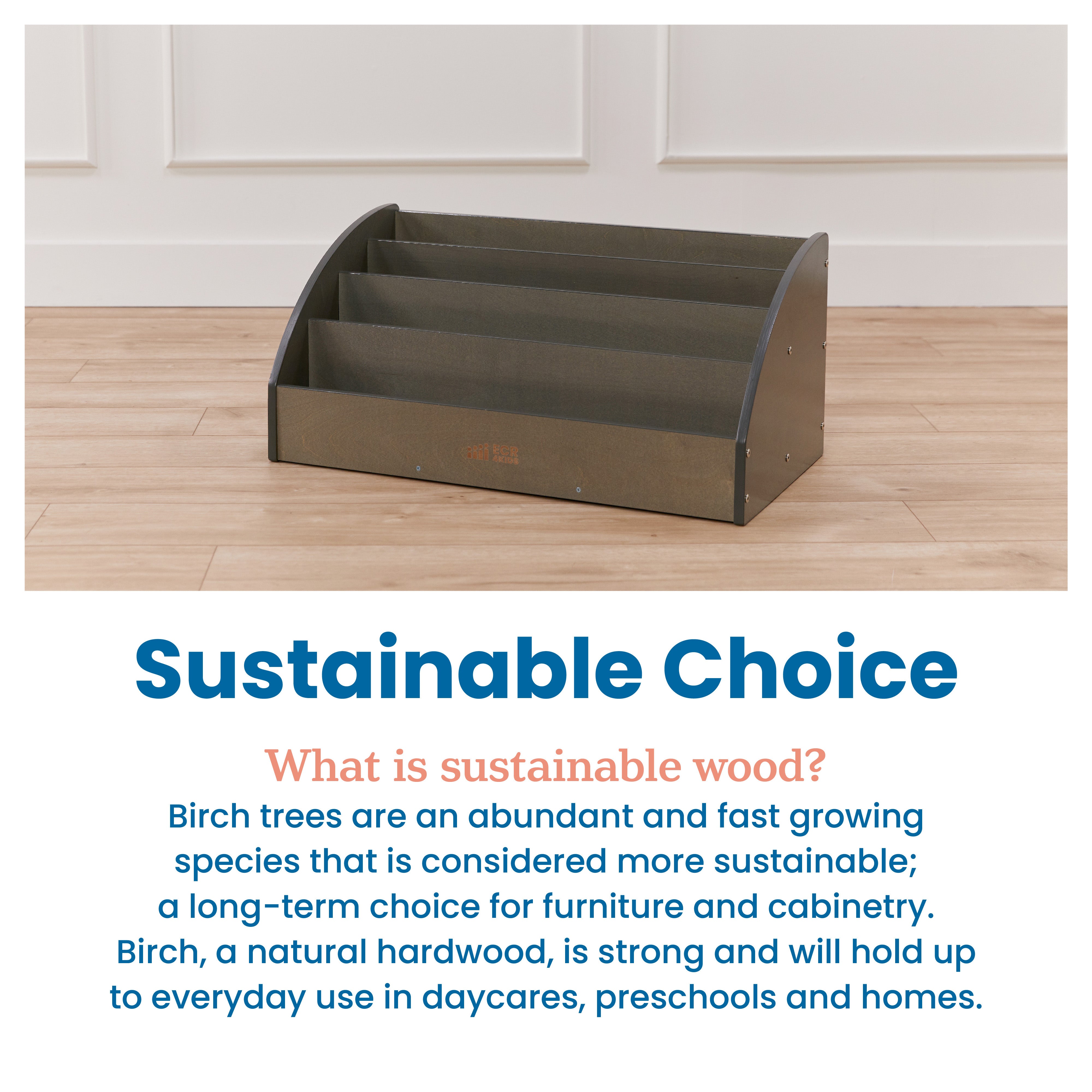 Toddler Book Display