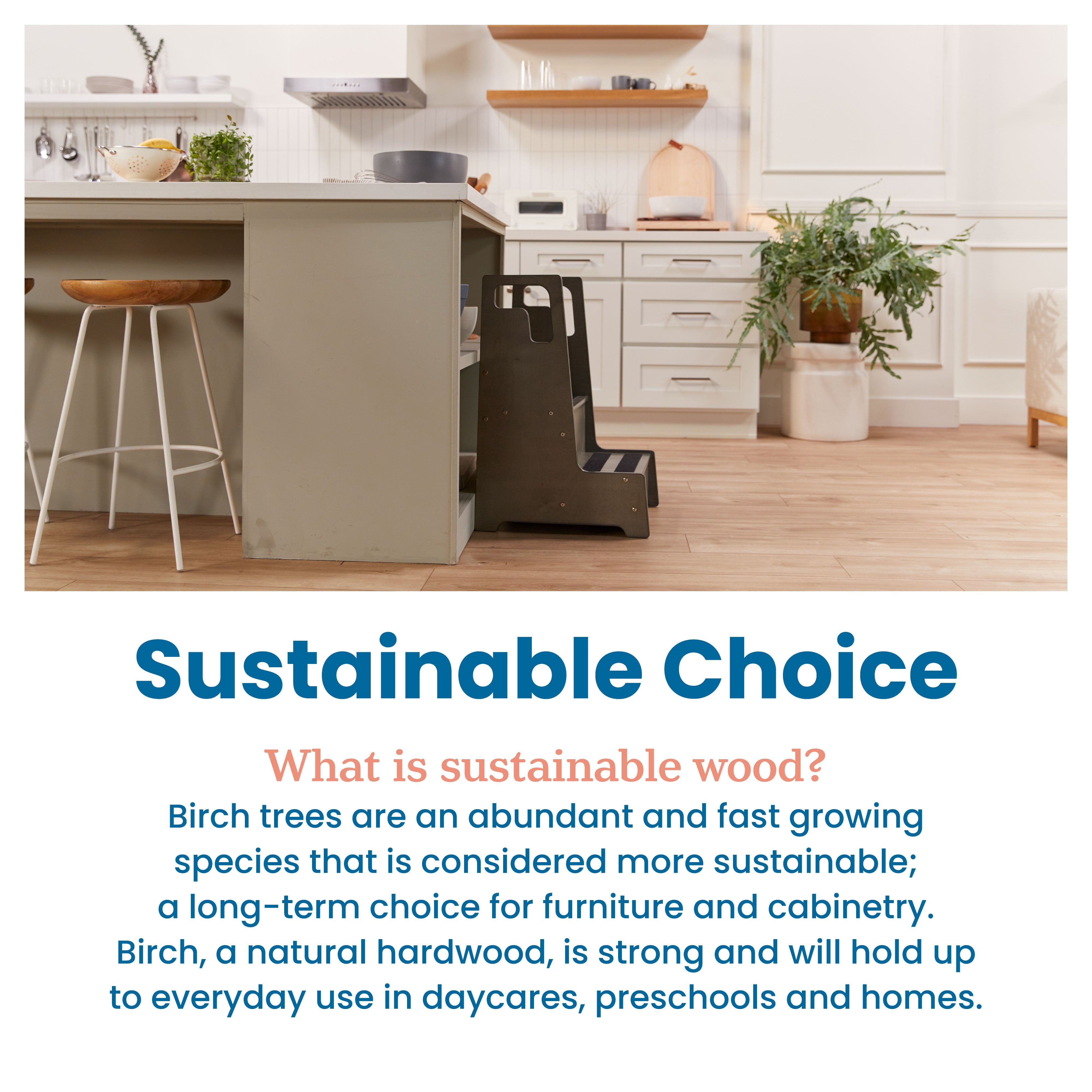 Reach-Up Step Stool with Handles