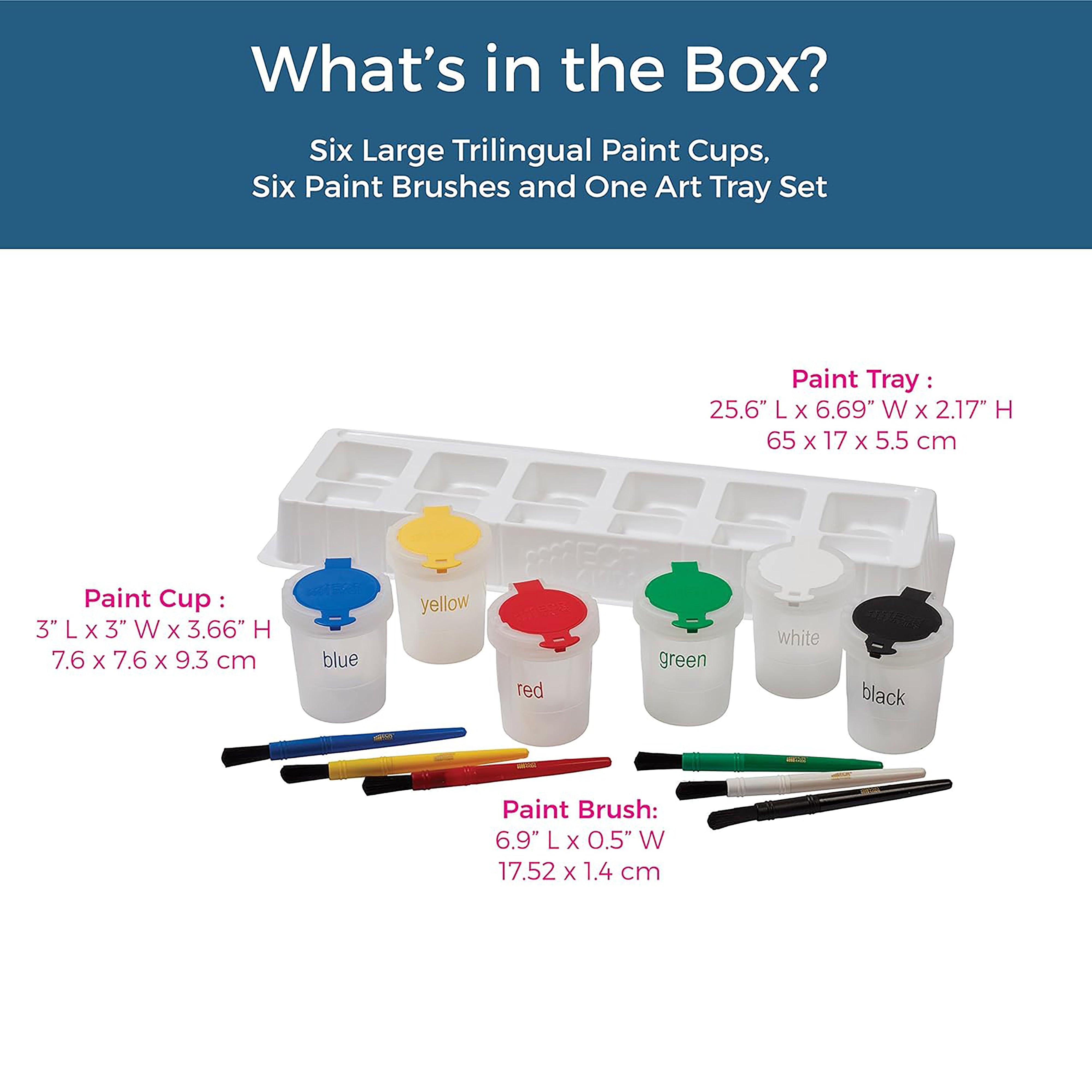 Large Trilingual Paint Cups and Brushes, 13-Piece