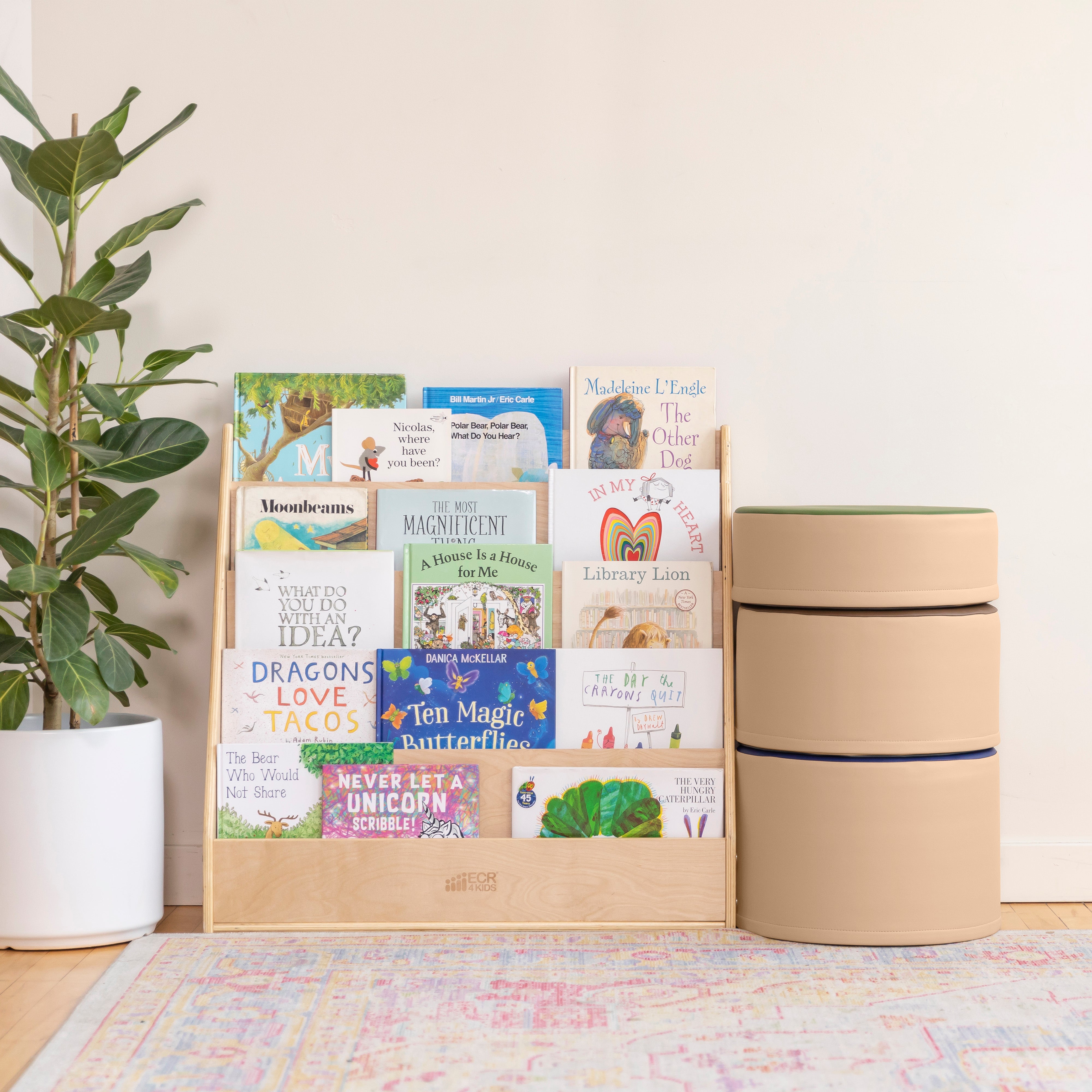 Streamline Single-Sided Book Display with Storage