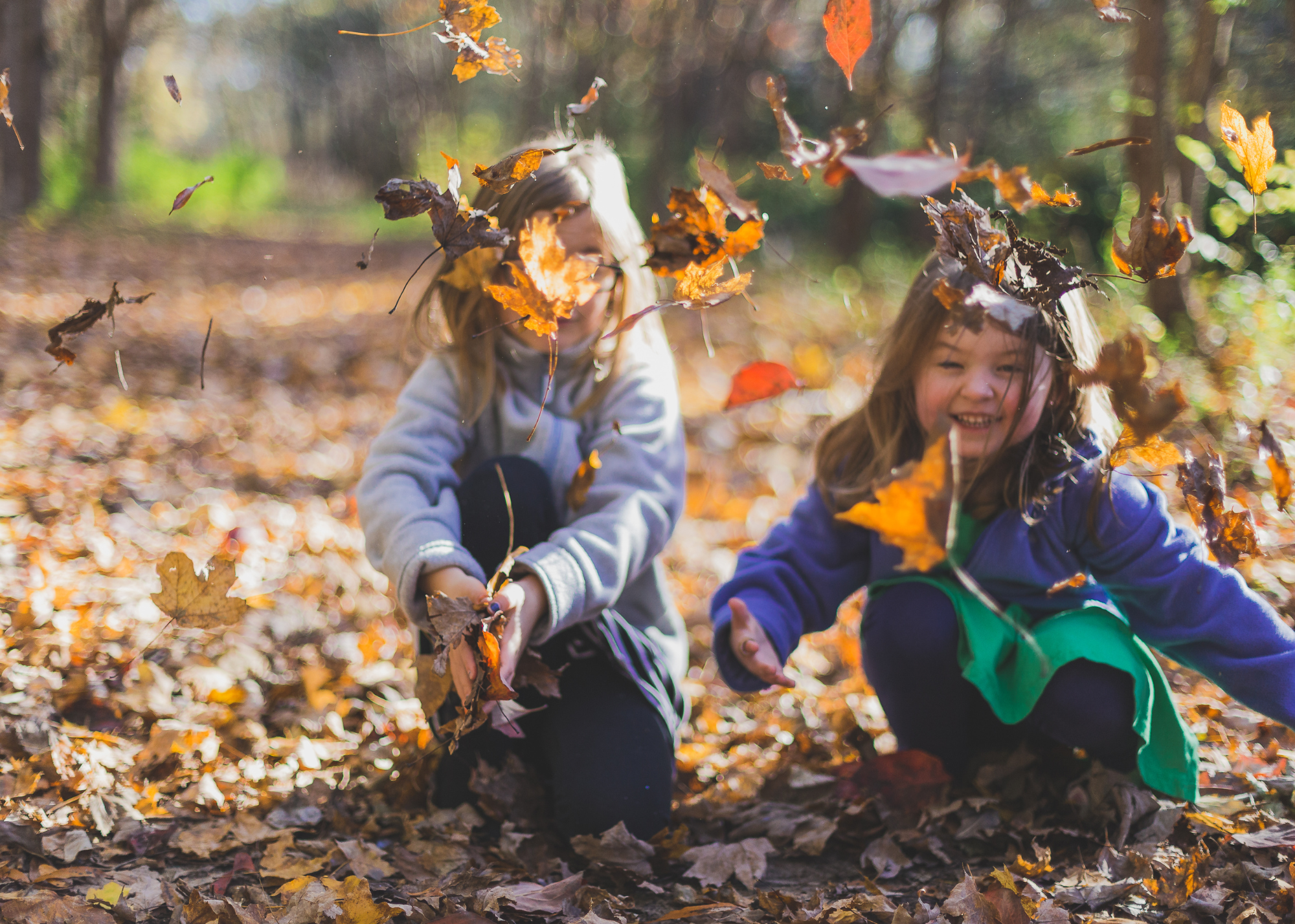 Fall Equinox with Kids: Exploring Daylight, Leaves & Nature