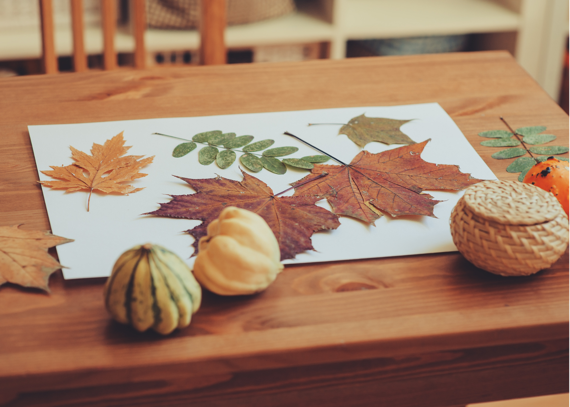 Sensory Play Activities Using Natural Fall Materials