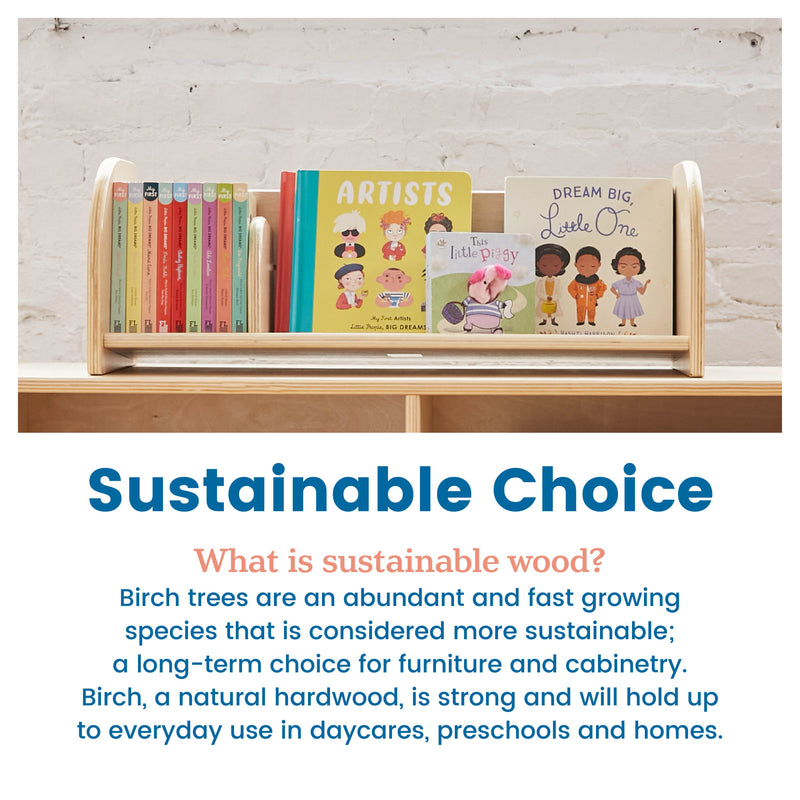 Tabletop Book Display, Library Storage Organizer with Adjustable Book Stop