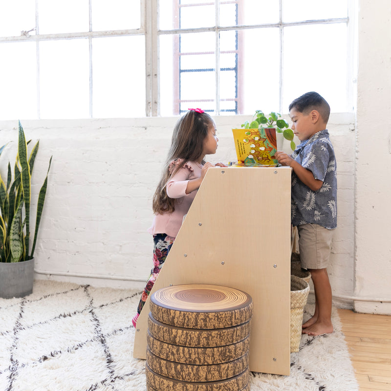 Double-Sided Mobile Book Display with Storage, Classroom Bookshelf