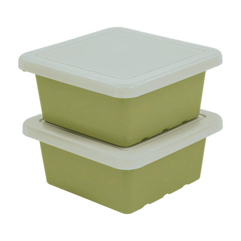 Square Bin with Lid, Storage Containers, 2-Pack