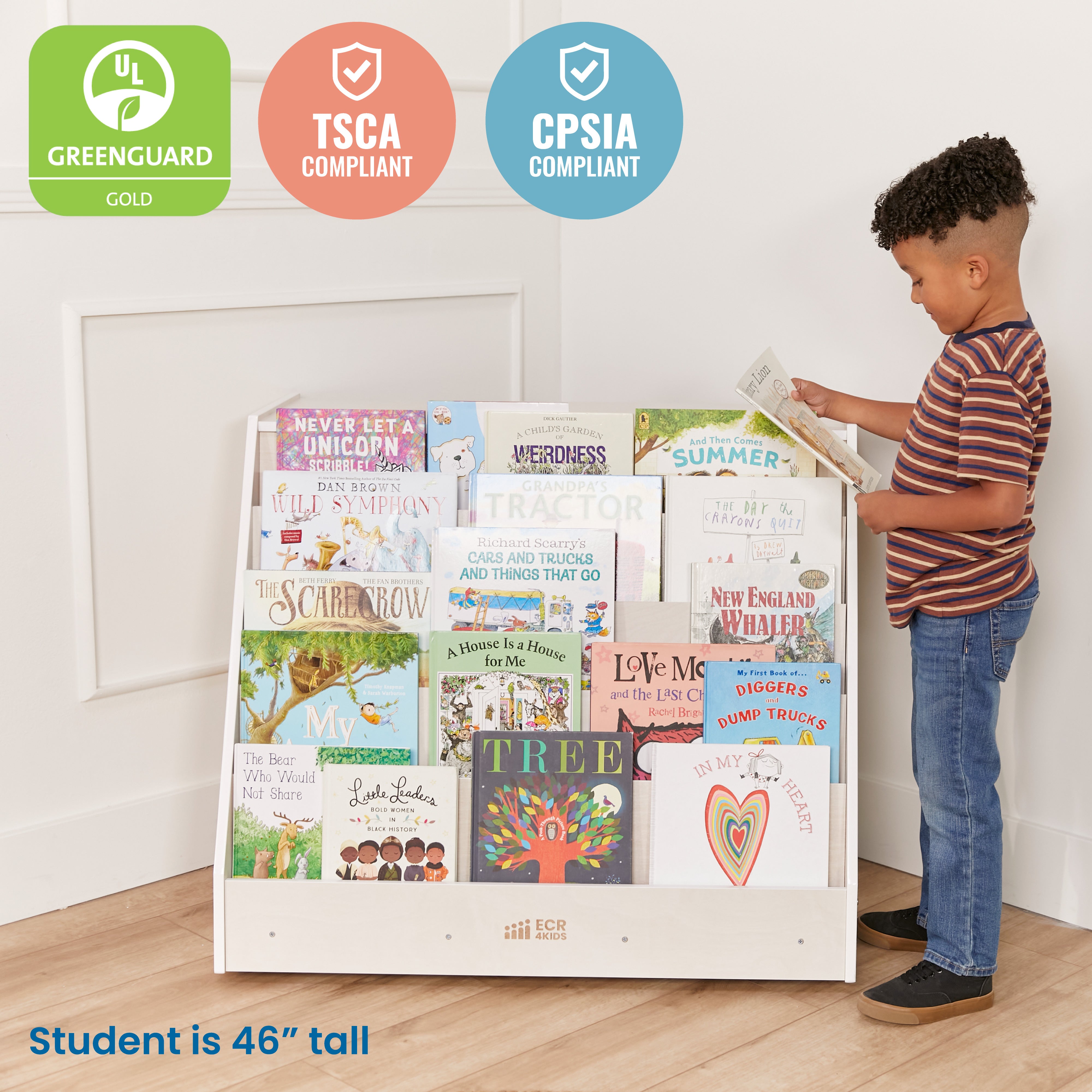 Double-Sided Mobile Book Display with Storage, Classroom Bookshelf