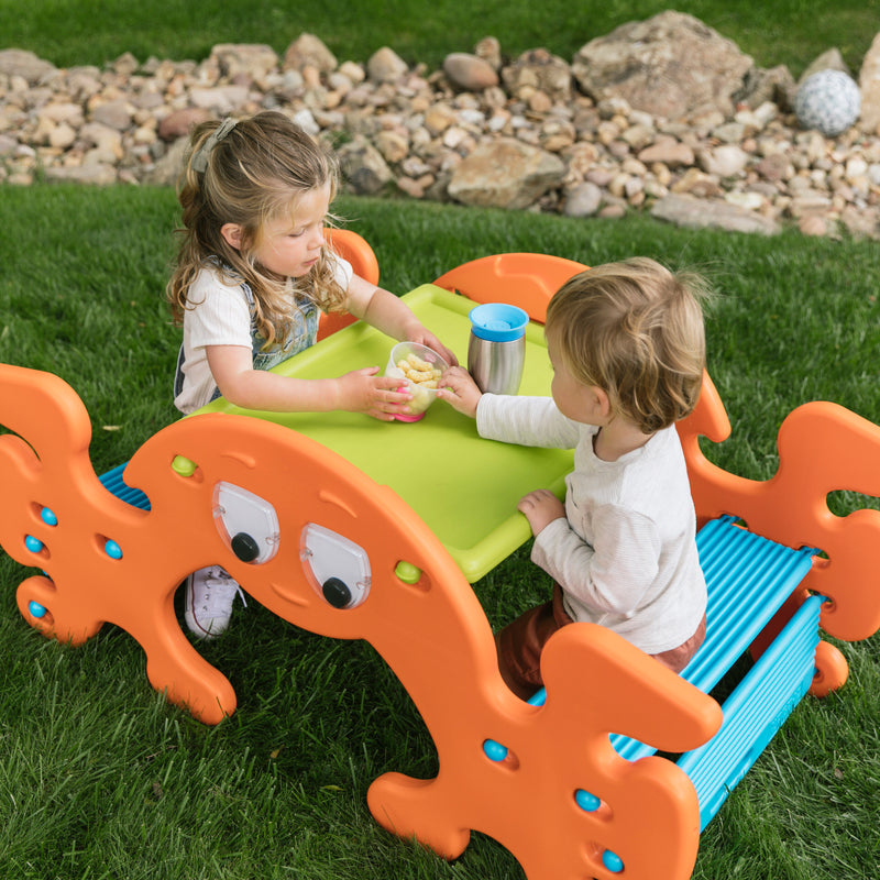 Phanty Pic-N-Rock, Indoor/Outdoor Multipurpose Picnic Table and Seesaw