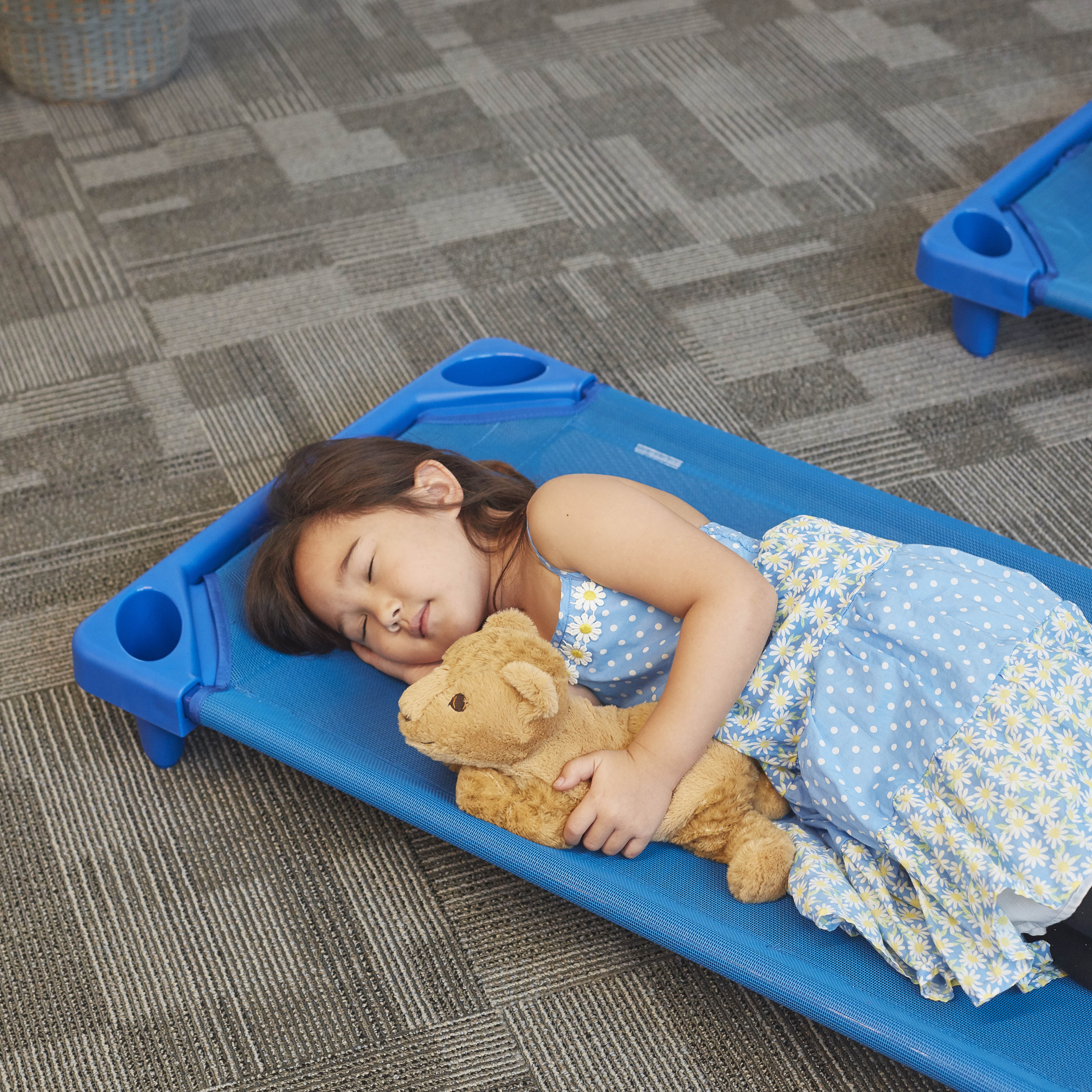 Streamline Cot, Assembled, Standard Size, 6-Pack