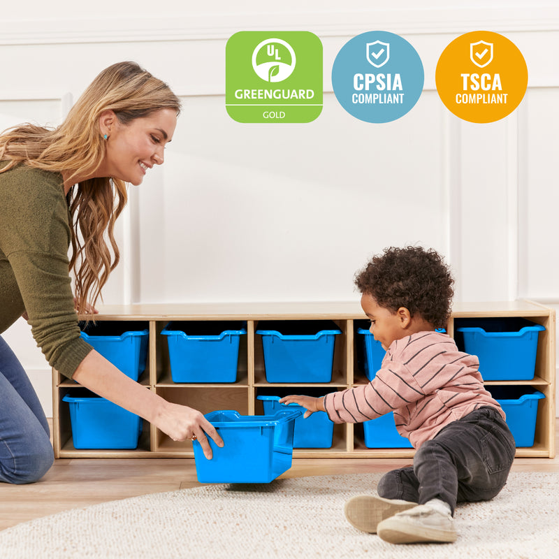 Streamline 10 Cubby Tray Cabinet with Scoop Front Storage Bins, 2x5