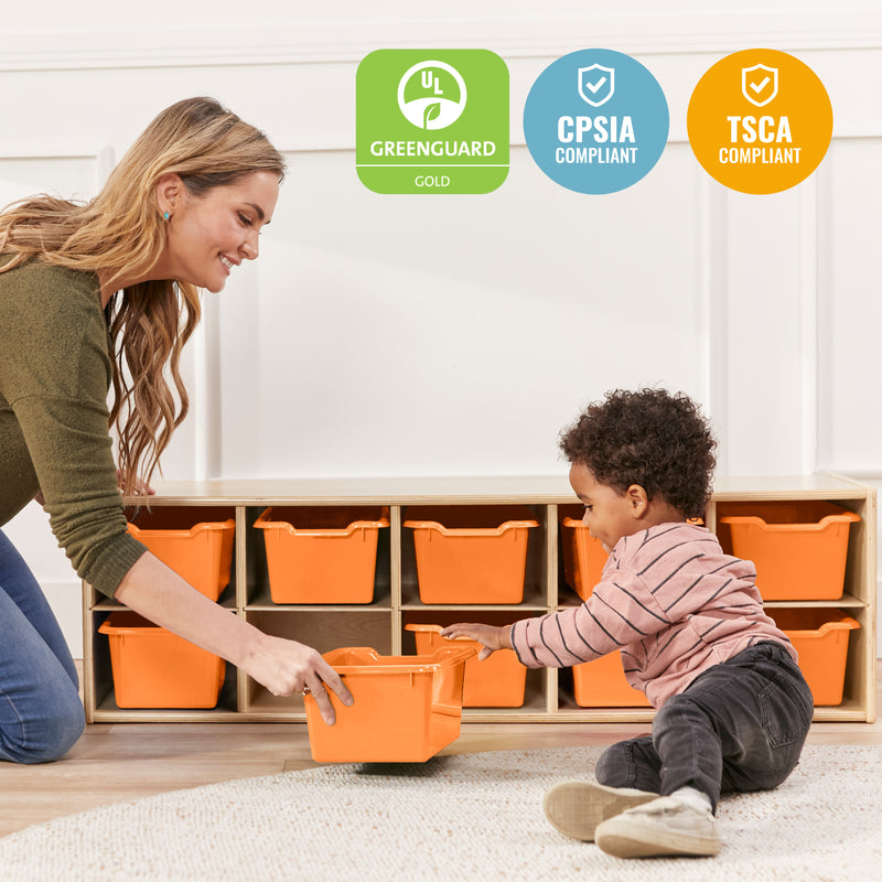 Streamline 10 Cubby Tray Cabinet with Scoop Front Storage Bins, 2x5