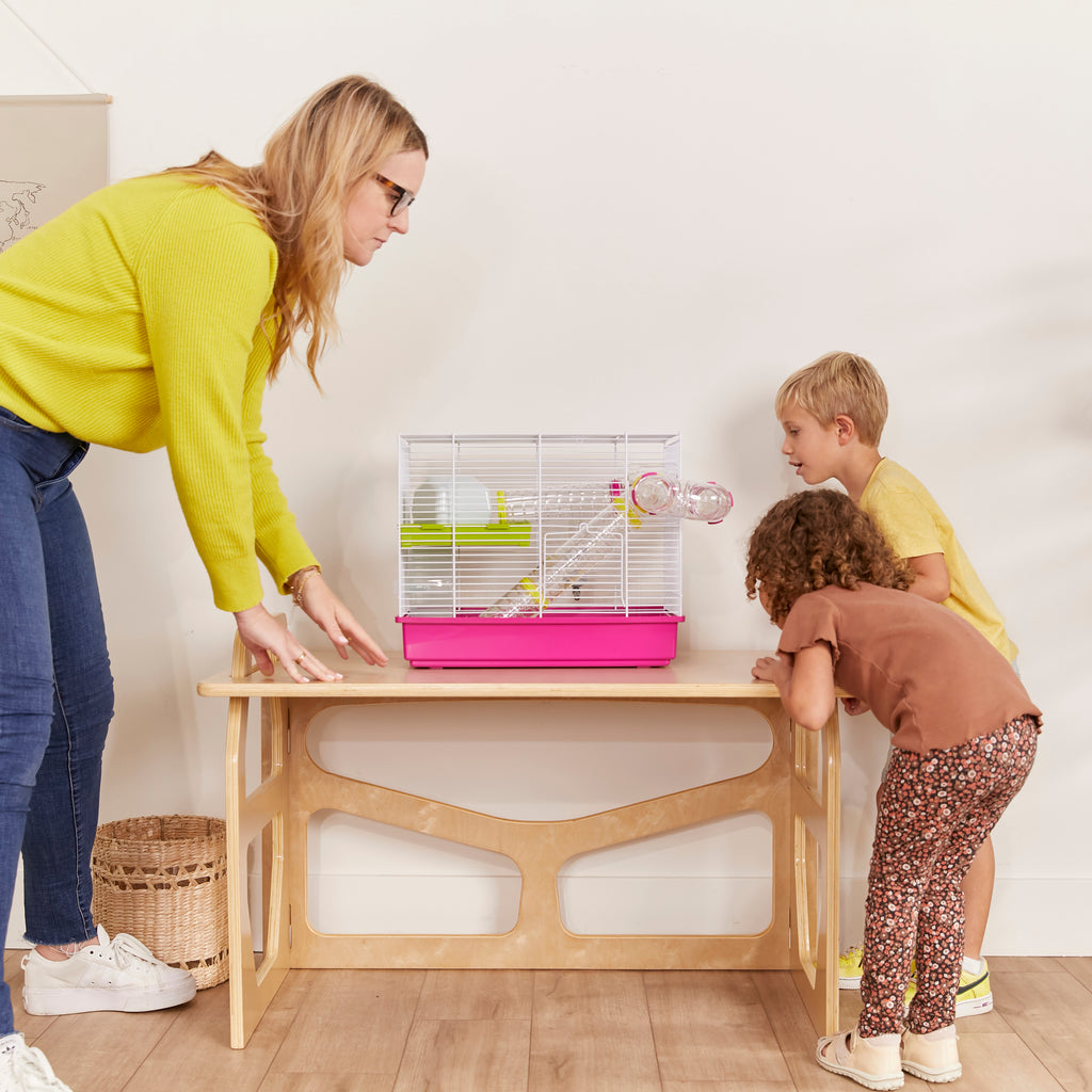 ECR4Kids Dry-Erase Glass Board Memo Station, Desk Organizer - Macy's