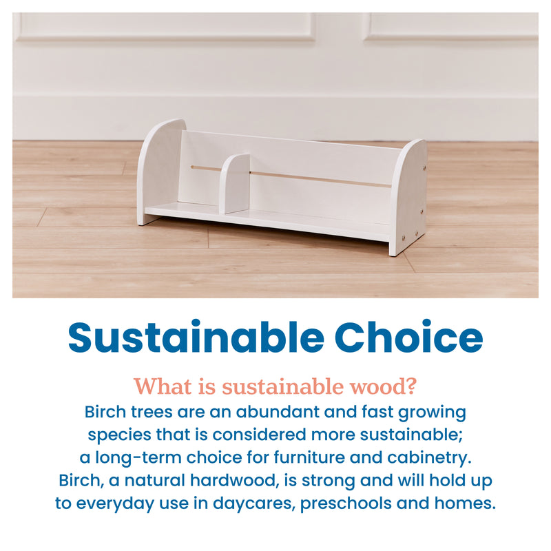 Tabletop Book Display, Library Storage Organizer with Adjustable Book Stop