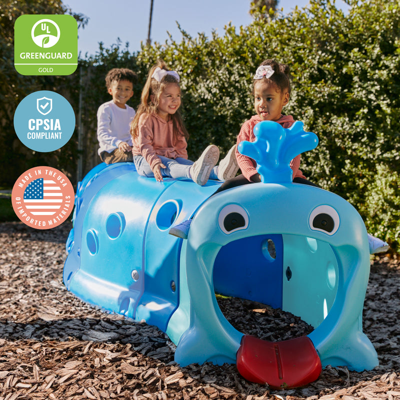 Willow Climb-N-Crawl Whale Set, Play Structure