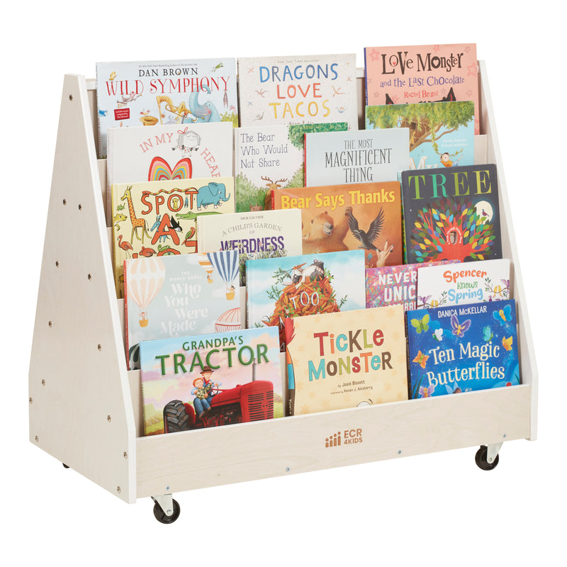 Double-Sided Mobile Book Display