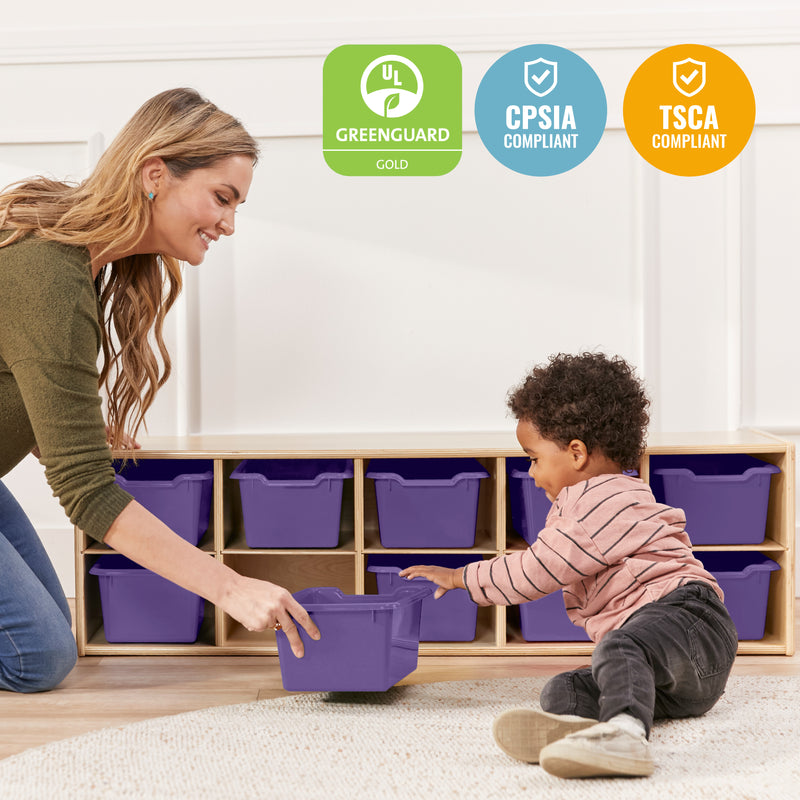 Streamline 10 Cubby Tray Cabinet with Scoop Front Storage Bins, 2x5