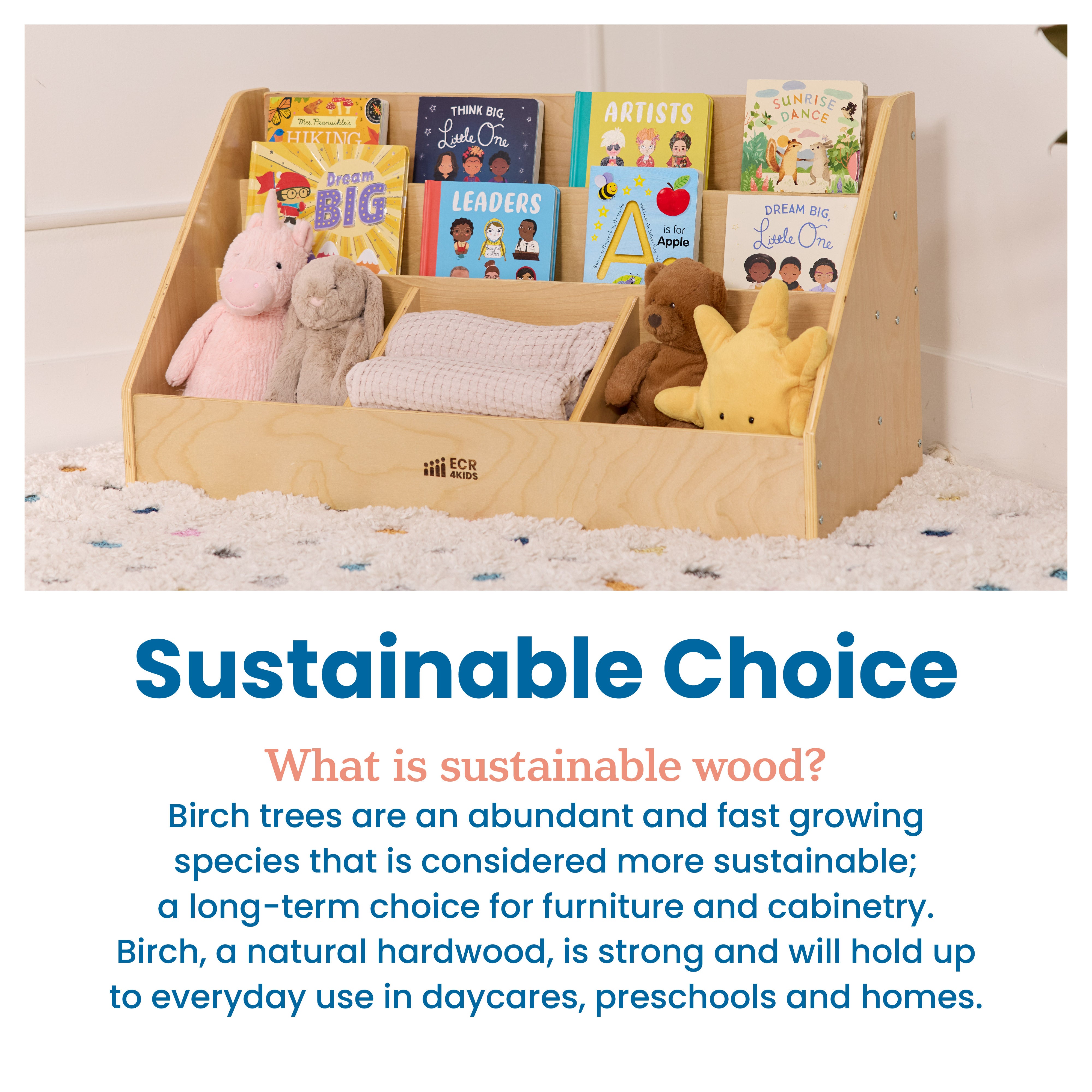 5-Compartment Easy to Reach Book Display, Classroom Storage, Natural